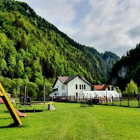 Casa Petruta Dambovicioara Hotel Podu Dimbovitei Ngoại thất bức ảnh